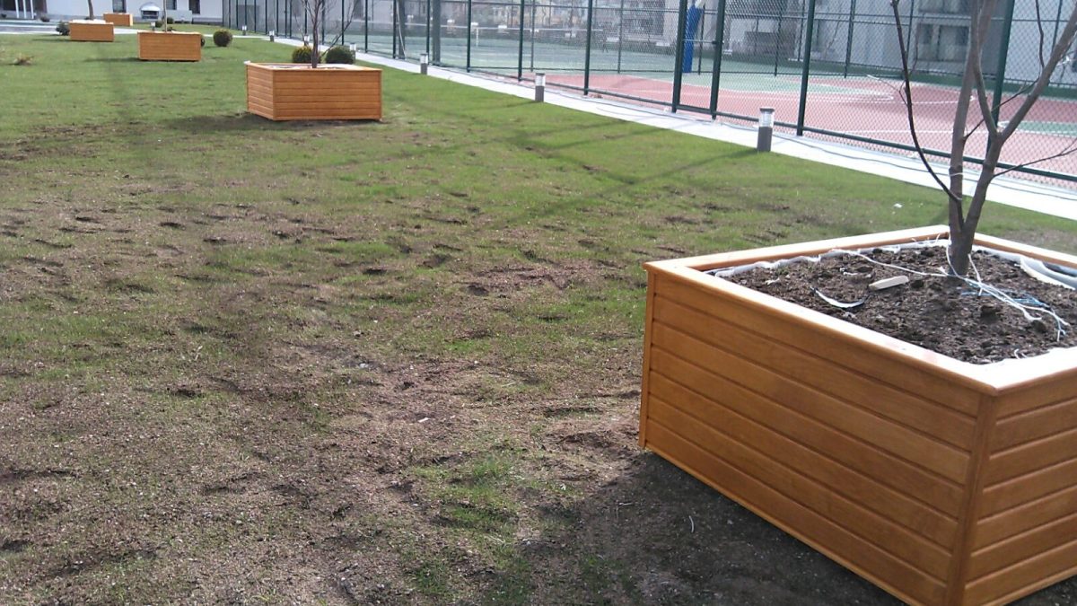 Kare Ahşap Ağaç Saksısı