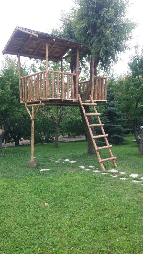 WhatsApp Image 2016-08-19 at 16.15.30